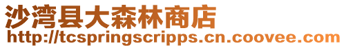 沙灣縣大森林商店