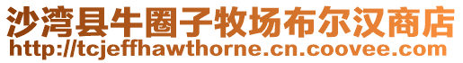 沙灣縣牛圈子牧場(chǎng)布爾漢商店
