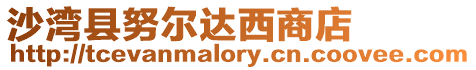 沙灣縣努爾達(dá)西商店