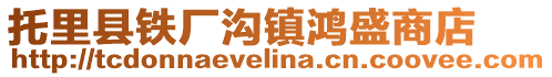 托里县铁厂沟镇鸿盛商店