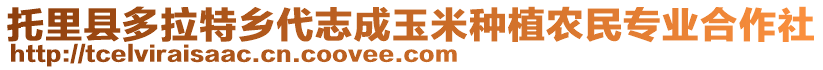 托里县多拉特乡代志成玉米种植农民专业合作社