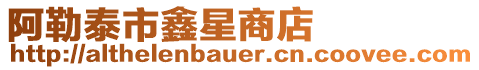 阿勒泰市鑫星商店