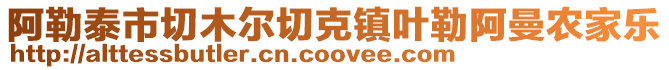 阿勒泰市切木爾切克鎮葉勒阿曼農家樂