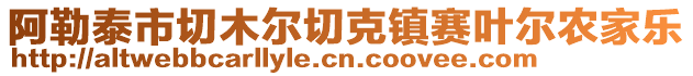 阿勒泰市切木爾切克鎮賽葉爾農家樂