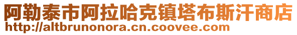 阿勒泰市阿拉哈克鎮塔布斯汗商店