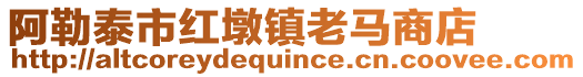 阿勒泰市紅墩鎮(zhèn)老馬商店