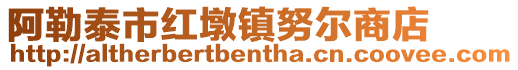 阿勒泰市紅墩鎮努爾商店
