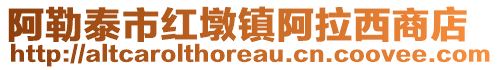 阿勒泰市紅墩鎮阿拉西商店