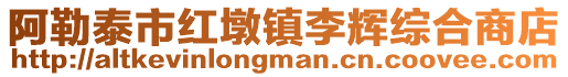 阿勒泰市紅墩鎮李輝綜合商店