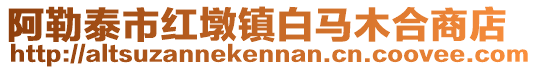 阿勒泰市紅墩鎮白馬木合商店