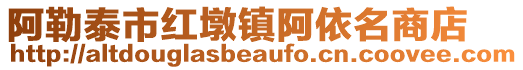 阿勒泰市紅墩鎮阿依名商店