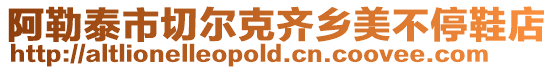 阿勒泰市切爾克齊鄉美不停鞋店