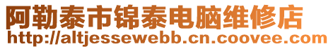 阿勒泰市錦泰電腦維修店