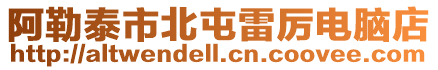 阿勒泰市北屯雷厲電腦店