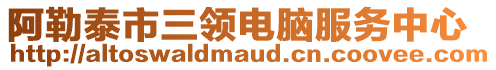 阿勒泰市三領(lǐng)電腦服務(wù)中心