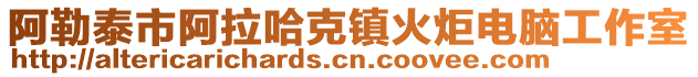 阿勒泰市阿拉哈克鎮(zhèn)火炬電腦工作室