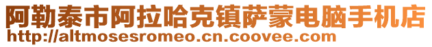 阿勒泰市阿拉哈克鎮(zhèn)薩蒙電腦手機(jī)店