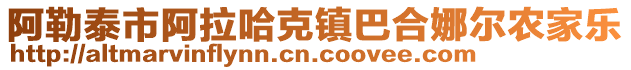 阿勒泰市阿拉哈克鎮(zhèn)巴合娜爾農(nóng)家樂(lè)