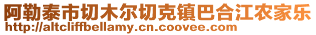 阿勒泰市切木爾切克鎮(zhèn)巴合江農(nóng)家樂