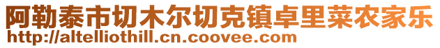 阿勒泰市切木爾切克鎮卓里菜農家樂