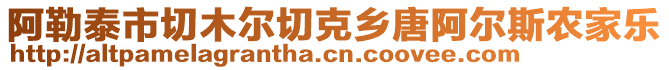 阿勒泰市切木爾切克鄉(xiāng)唐阿爾斯農(nóng)家樂