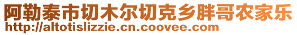 阿勒泰市切木爾切克鄉(xiāng)胖哥農(nóng)家樂(lè)