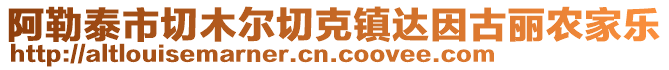 阿勒泰市切木爾切克鎮(zhèn)達因古麗農(nóng)家樂