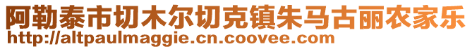 阿勒泰市切木爾切克鎮(zhèn)朱馬古麗農(nóng)家樂