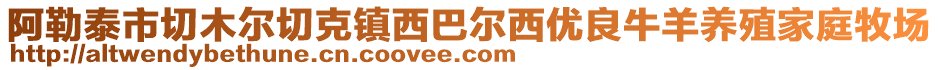 阿勒泰市切木爾切克鎮(zhèn)西巴爾西優(yōu)良牛羊養(yǎng)殖家庭牧場