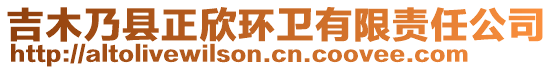 吉木乃縣正欣環(huán)衛(wèi)有限責任公司