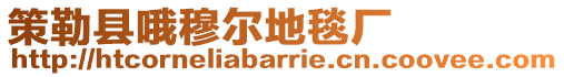 策勒縣哦穆爾地毯廠