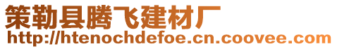 策勒縣騰飛建材廠