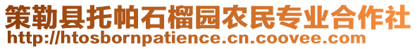 策勒縣托帕石榴園農(nóng)民專業(yè)合作社