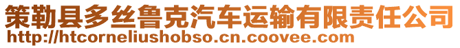 策勒縣多絲魯克汽車運輸有限責任公司