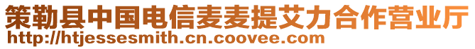 策勒縣中國(guó)電信麥麥提艾力合作營(yíng)業(yè)廳