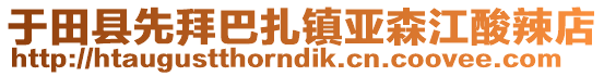 于田縣先拜巴扎鎮(zhèn)亞森江酸辣店