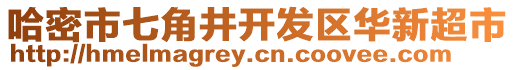 哈密市七角井開發(fā)區(qū)華新超市