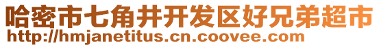 哈密市七角井開發(fā)區(qū)好兄弟超市