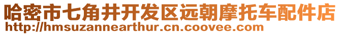 哈密市七角井开发区远朝摩托车配件店