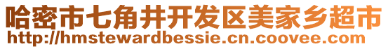 哈密市七角井開發(fā)區(qū)美家鄉(xiāng)超市