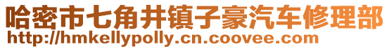 哈密市七角井鎮(zhèn)子豪汽車修理部