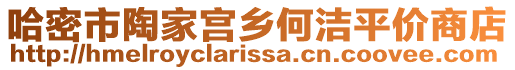 哈密市陶家宮鄉(xiāng)何潔平價(jià)商店