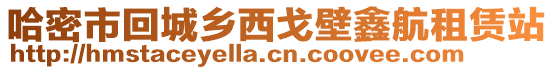 哈密市回城鄉(xiāng)西戈壁鑫航租賃站