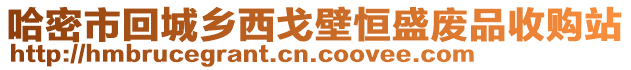 哈密市回城鄉(xiāng)西戈壁恒盛廢品收購站