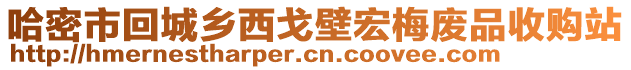 哈密市回城鄉(xiāng)西戈壁宏梅廢品收購站