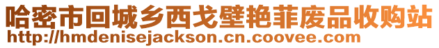 哈密市回城鄉(xiāng)西戈壁艷菲廢品收購站