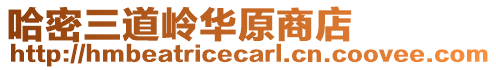 哈密三道岭华原商店