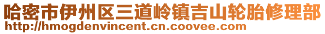 哈密市伊州區(qū)三道嶺鎮(zhèn)吉山輪胎修理部