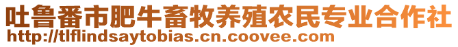 吐魯番市肥牛畜牧養(yǎng)殖農(nóng)民專業(yè)合作社