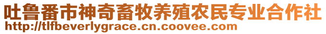 吐魯番市神奇畜牧養(yǎng)殖農(nóng)民專業(yè)合作社